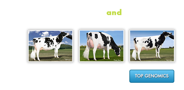 Top Genomics and Mating Sires - Find various genomic rankings and mating sire list to develop marketing strategies