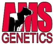 AMS Genetics