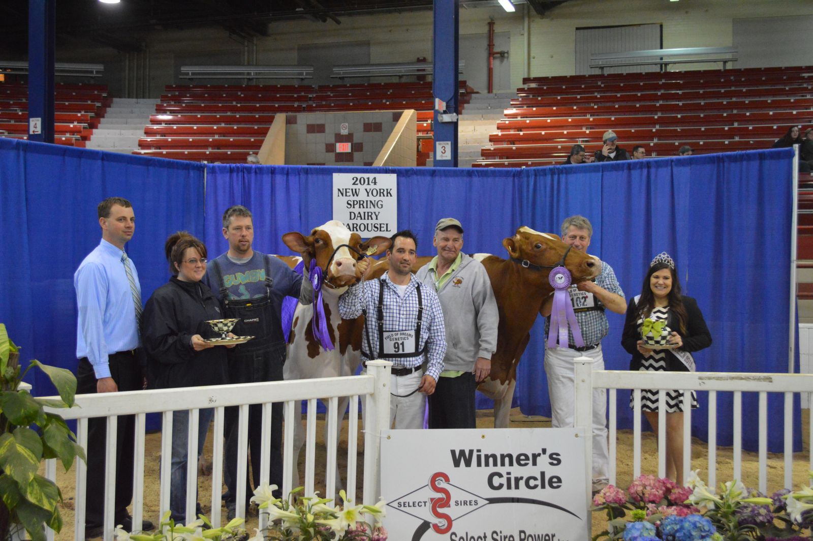 Grand and Senior Champion:  Crestomere Absolutely Love-RED exhibited by Gene Iager and Craig Walton, Pleasant Plain, OH  Res. Senior & Res. Grand Champion of Open Show: Elmbridge Lookout Lady In-Red Exhibited by: Lookout, Elmbridge, Frank & Diane Borba, QC