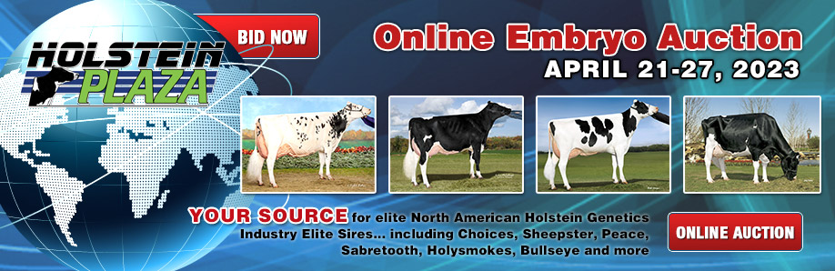 Online Embryo Auction: April 21-27, 2023